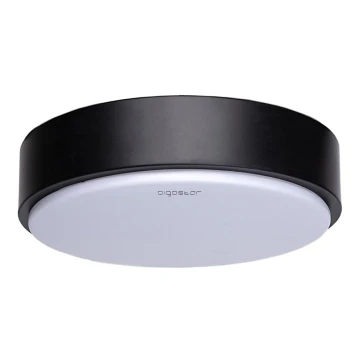 Aigostar - LED stropna svetilka LED/12W/230V 6500K premer 23 cm črna