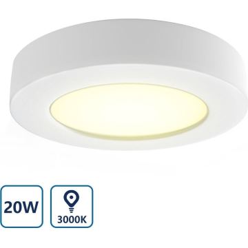 Aigostar - LED Stropna svetilka LED/20W/230V pr. 24,7 cm 3000K bela