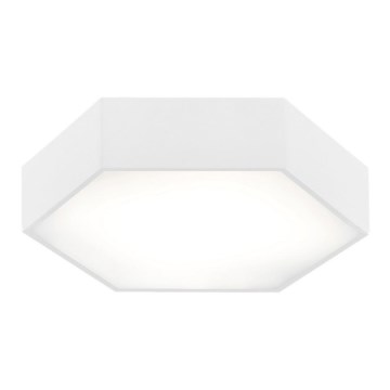 Argon 3827 - LED stropna svetilka ARIZONA LED/22,5W/230V bela