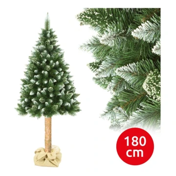 Božično drevo z deblom 180 cm bor