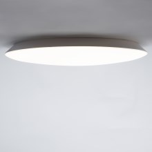 Brilagi - LED Kopalniška stropna svetilka VESTAS LED/45W/230V 3000K IP54