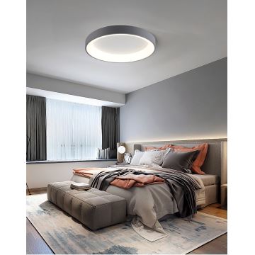 Brilagi - LED Zatemnitvena stropna svetilka FALCON LED/80W/230V 3000-6500K siva + Daljinski upravljalnik