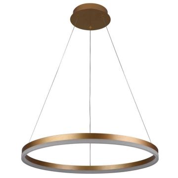 Brilagi - LED Zatemnitveni lestenec na vrvici CIRCLE LED/42W/230V 3000-6500K + Daljinski upravljalnik