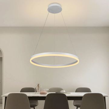 Brilagi - LED Zatemnitveni lestenec na vrvici CIRCLE LED/42W/230V 3000-6500K + Daljinski upravljalnik