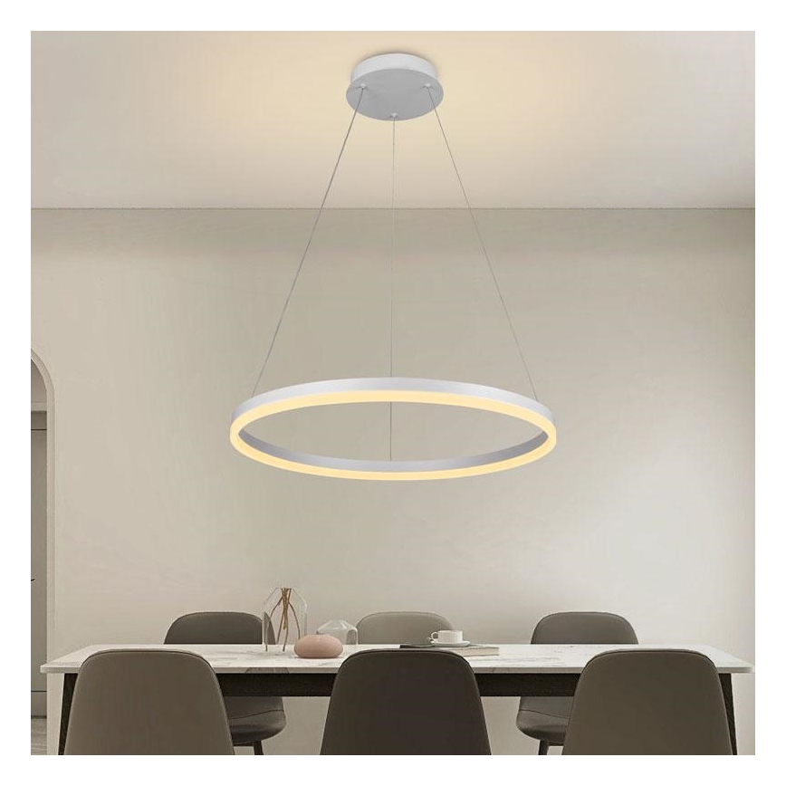 Brilagi - LED Zatemnitveni lestenec na vrvici CIRCLE LED/42W/230V 3000-6500K + Daljinski upravljalnik