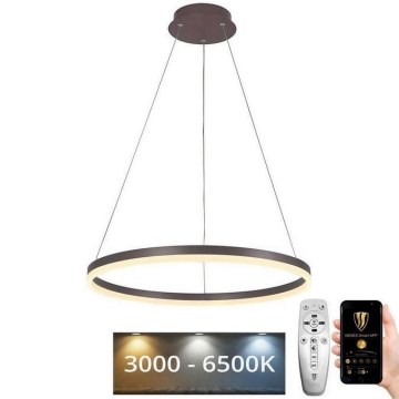 Brilagi - LED Zatemnitveni lestenec na vrvici CIRCLE LED/42W/230V 3000-6500K rjava + Daljinski upravljalnik