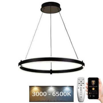 Brilagi - LED Zatemnitveni lestenec na vrvici CIRCLE LED/85W/230V 3000-6500K črna + Daljinski upravljalnik