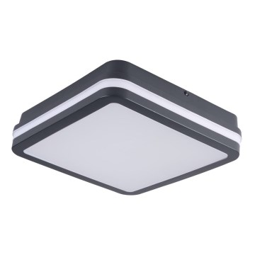 Brilagi - LED Zunanja svetilka BENE LED/18W/230V 22x22 cm antracit IP54