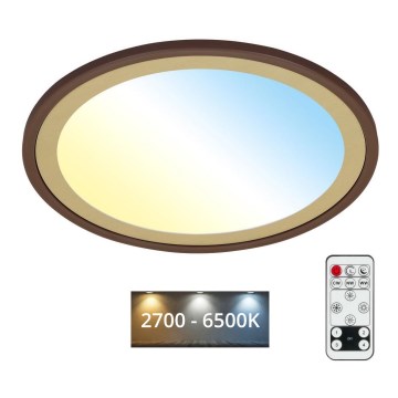 Brilo - LED Zatemnitvena stropna svetilka SLIM LED/22W/230V 2700-6500K + Daljinski upravljalnik