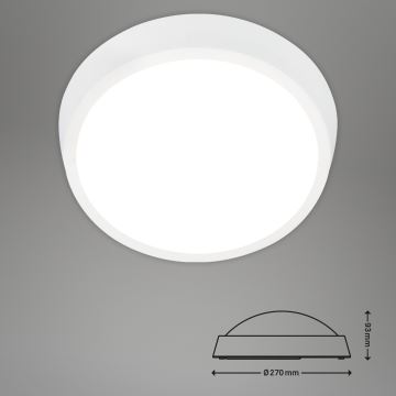 Briloner 3018-016 - LED Zunanja stropna svetilka HAGEN LED/24W/230V 4000K IP44 bela