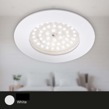 Briloner 7206-016 - LED Kopalniška vgradna svetilka LED/10,5W/230V IP44