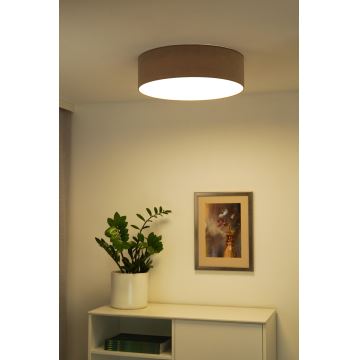 Duolla - LED Stropna svetilka CORTINA LED/26W/230V pr. 30 cm 4000K rjava