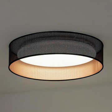 Duolla - LED Stropna svetilka ROLLER LED/24W/230V črna/baker