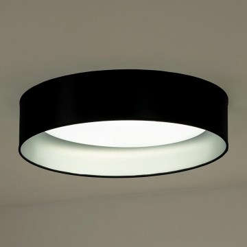 Duolla - LED Stropna svetilka ROLLER LED/24W/230V črna/srebrna