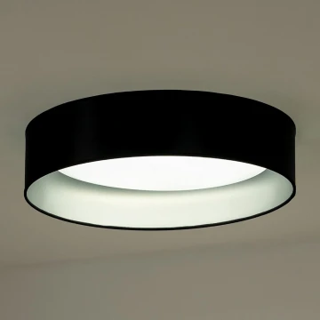 Duolla - LED Stropna svetilka ROLLER LED/24W/230V črna/srebrna