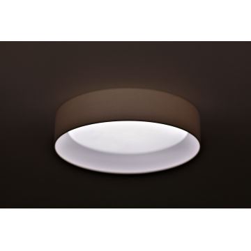 Duolla - LED Stropna svetilka ROLLER LED/24W/230V krem barva