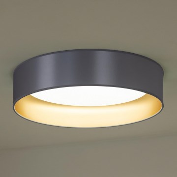 Duolla - LED Stropna svetilka ROLLER LED/24W/230V srebrna/zlata