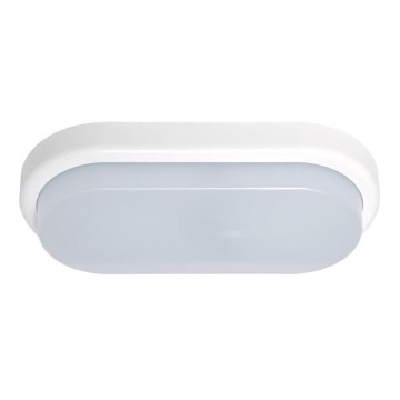 Ecolite BL12W-BI - LED Zunanja stenska svetilka OVAL LED/12W/230V IP54