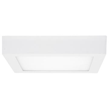 LED Kopalniška stropna svetilka RAFA LED/12W/230V 3000/4000/6000K 17x17 cm IP44 bela