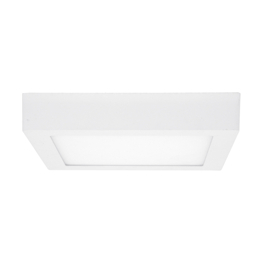 LED Kopalniška stropna svetilka RAFA LED/12W/230V 3000/4000/6000K 17x17 cm IP44 bela