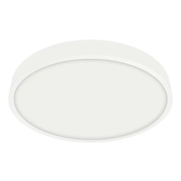 Emithor 49035 - LED Kopalniška stropna svetilka LENYS LED/12W/230V d. 140 mm IP44