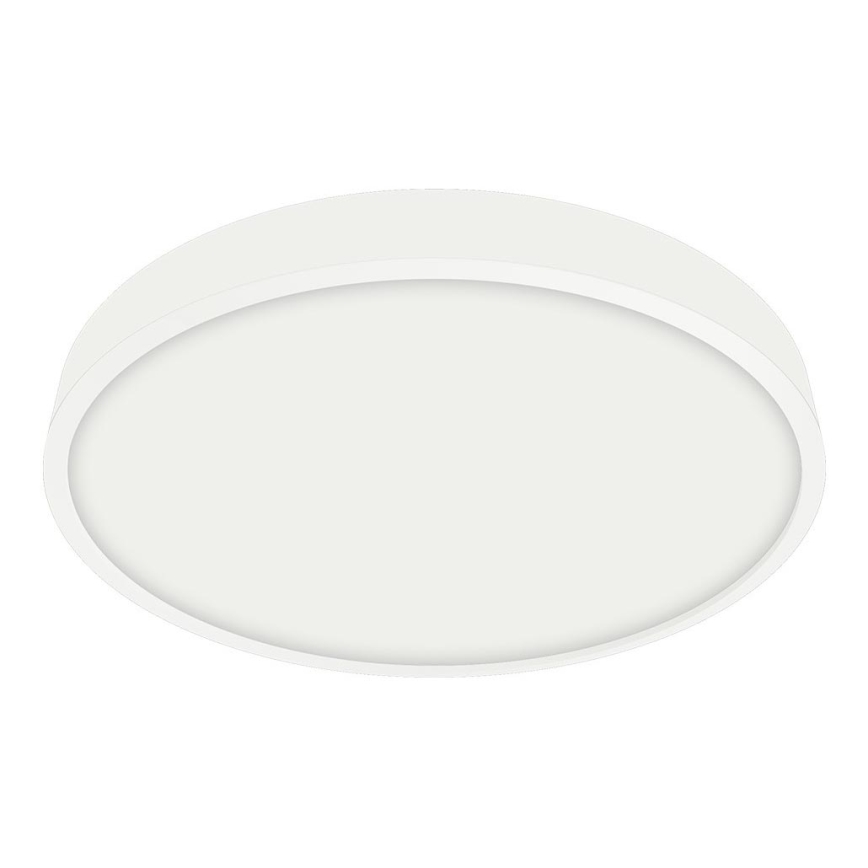 Emithor 49037 - LED Kopalniška stropna svetilka LENYS LED/24W/230V d. 240 mm IP44