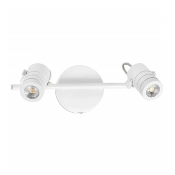 FARO 41124 - LED Stenska svetilka URSA 2xLED/6W/230V
