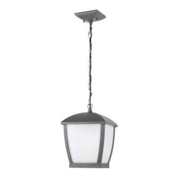 FARO 75002 - Zunanji lestenec na verigi WILMA 1xE27/100W/230V IP44