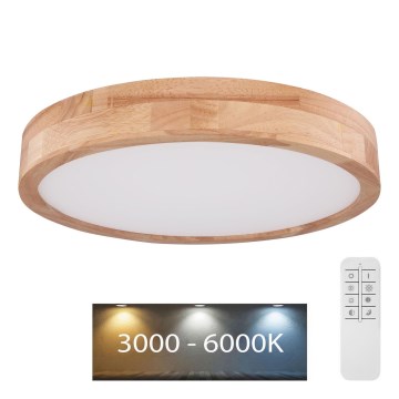 Globo - LED Zatemnitvena stropna svetilka LED/24W/230V 3000-6000K + Daljinski upravljalnik