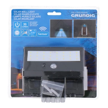 Grundig - LED Solarna svetilka s senzorjem 1xLED/0,25W/1xAA