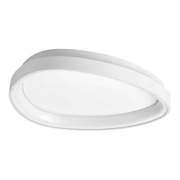 Ideal Lux - LED Stropna svetilka GEMINI LED/23W/230V pr. 42,5 cm bela