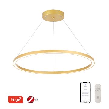 Immax NEO 07159-G80 - LED Zatemnitveni lestenec na vrvici FINO LED/60W/230V Tuya zlata + Daljinski upravljalnik