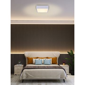 Immax NEO 07238L - LED Zatemnitvena stropna svetilka CANTO LED/22W/230V bela Tuya + Daljinski upravljalnik