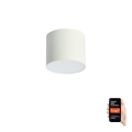 Immax NEO 07241L - LED Zatemnitvena stropna svetilka RONDATE LED/18W/230V 11,5cm Wi-Fi Tuya