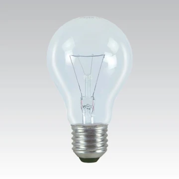 Industrijska posebna žarnica E27/100W/24V