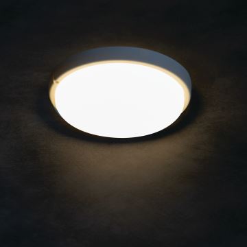 LED Kopalniška stropna svetilka TOLU LED/9W/230V 4000K IP54 bela