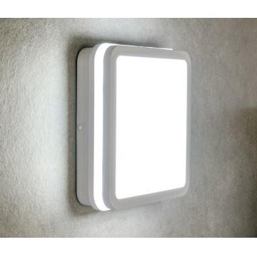 LED Nadgradna svetilka BENO LED/18W/230V bela IP54