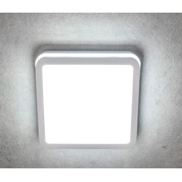 LED Nadgradna svetilka BENO LED/18W/230V bela IP54