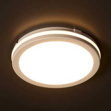 LED Zunanja stropna svetilka BENO ECO LED/12W/230V 3000/4000/6500K pr. 20 cm IP65 bela