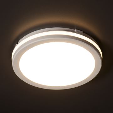 LED Zunanja stropna svetilka BENO ECO LED/20W/230V 3000/4000/6500K pr. 20 cm IP65 bela