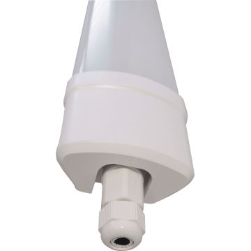 LED Fluorescenčna svetilka DAISY LED/40W/230V 4000K IP65