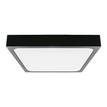 LED Kopalniška stropna svetilka LED/24W/230V 6500K IP44 črn