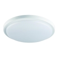 LED Kopalniška stropna svetilka ORTE LED/18W/230V IP54