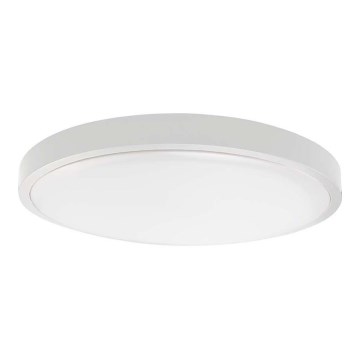 LED Kopalniška stropna svetilka SAMSUNG CHIP LED/18W/230V IP44 4000K pr. 25 cm bela