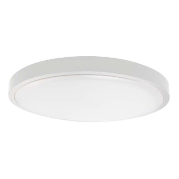 LED Kopalniška stropna svetilka SAMSUNG CHIP LED/24W/230V IP44 3000K pr. 29 cm bela