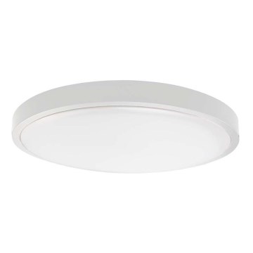 LED Kopalniška stropna svetilka SAMSUNG CHIP LED/36W/230V IP44 6500K pr. 35 cm bela