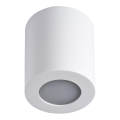 LED Kopalniška stropna svetilka SANI 1xGU10/10W/230V IP44 bela