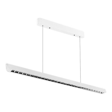 LED Lestenec na vrvici LED/36W/230V 3000/4000/6400K bela