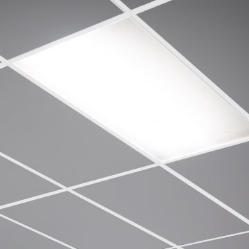 LED Panel LED/24W/230V 4000K