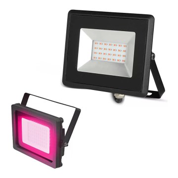 LED Reflektor LED/20W/230V IP65 roza svetel